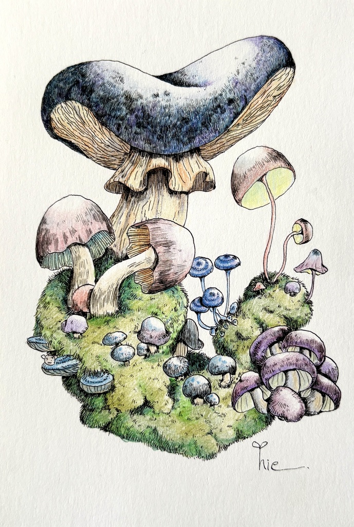 【額装原画】苔の森シリーズNo.07【ハガキサイズ】