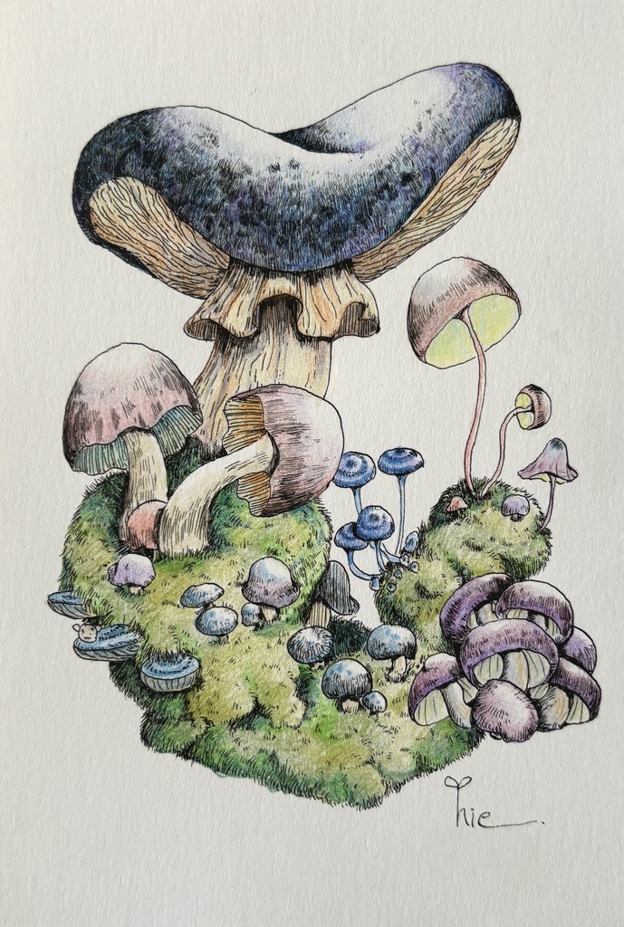 【額装原画】苔の森シリーズNo.07【ハガキサイズ】