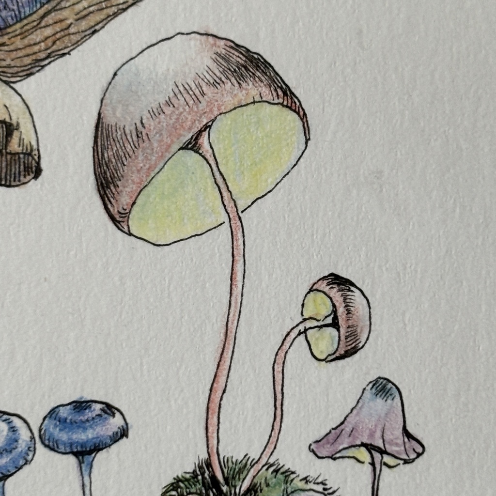 【額装原画】苔の森シリーズNo.07【ハガキサイズ】