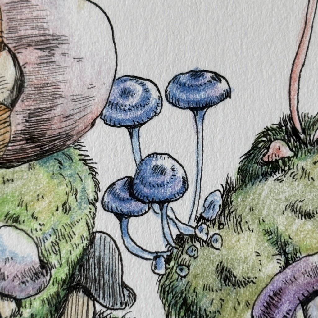 【額装原画】苔の森シリーズNo.07【ハガキサイズ】