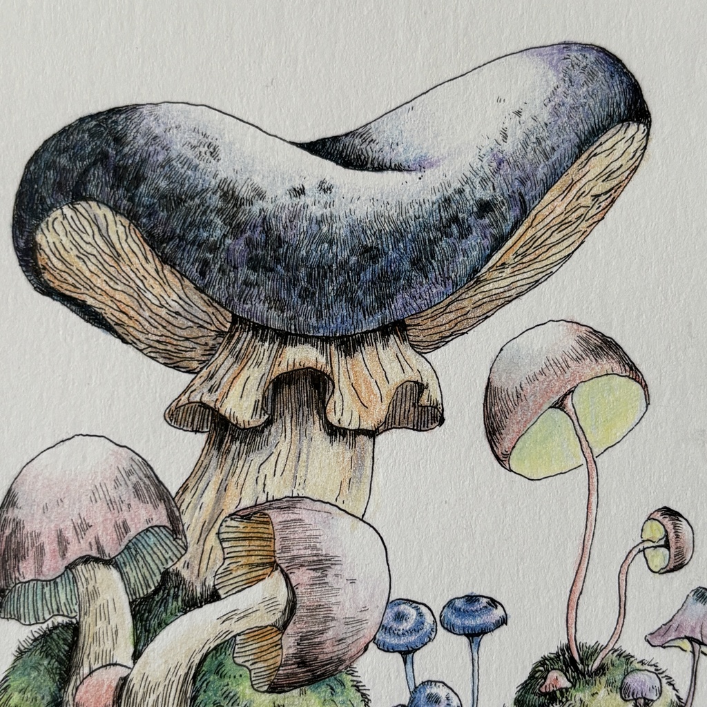 【額装原画】苔の森シリーズNo.07【ハガキサイズ】