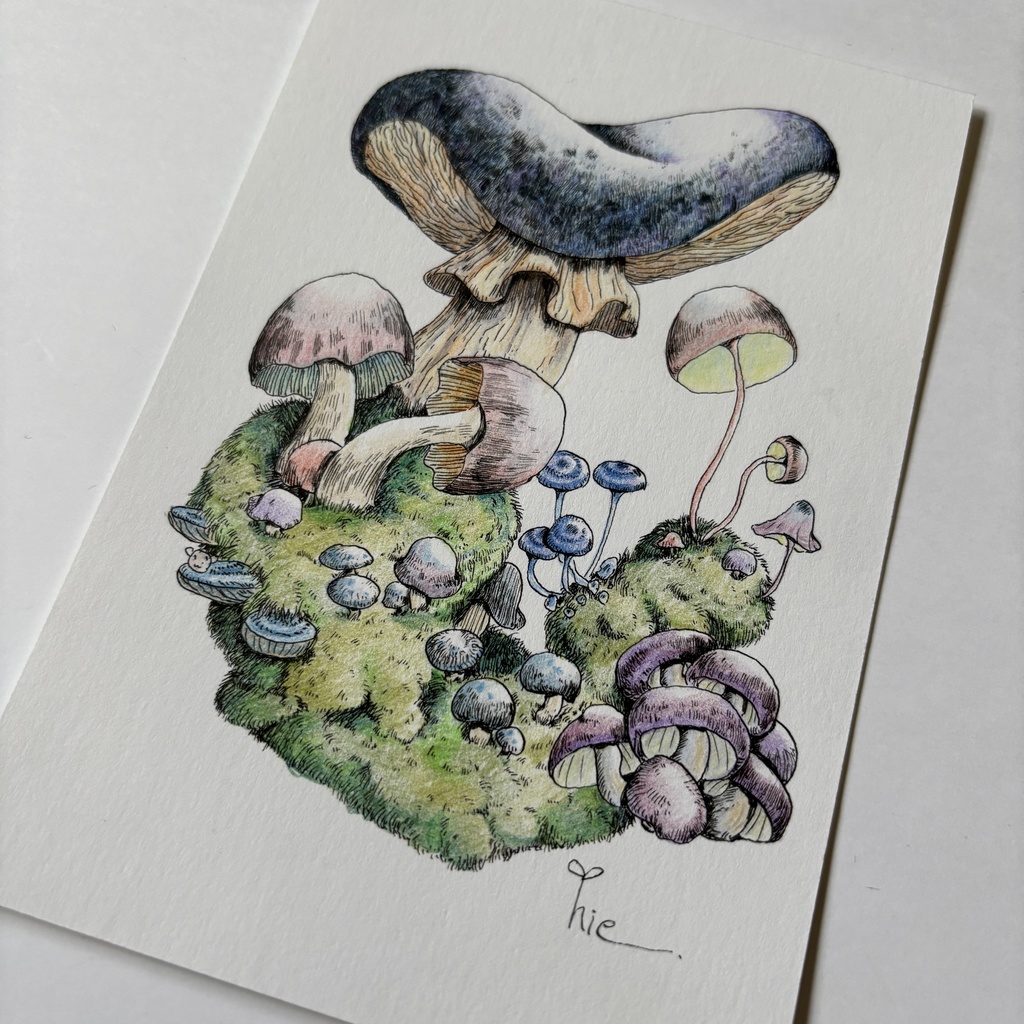 【額装原画】苔の森シリーズNo.07【ハガキサイズ】