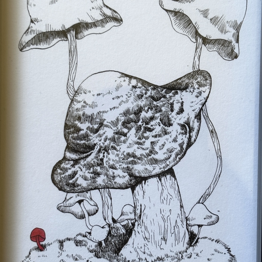 【ペン画原画】あざとさ【ハガキサイズ】