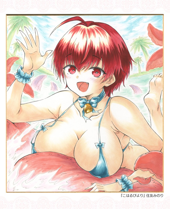 Digital色紙Collection vol.04