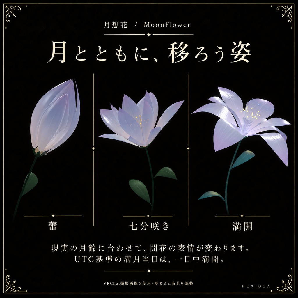 【セール中】月想花|月齢連動フラワー / MoonFlower