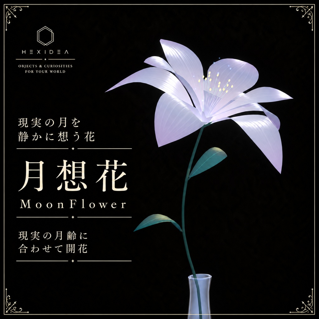 【セール中】月想花｜月齢連動フラワー / MoonFlower