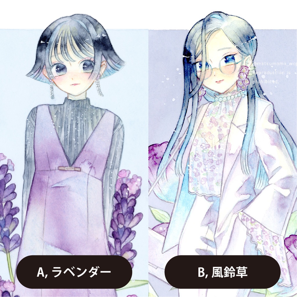 【原画】ラベンダー/風鈴草
