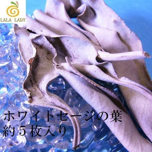 天然石 パワーストーン ミニ浄化セット Pixie 水晶さざれ石&ホワイトセージ◆lalalady-3