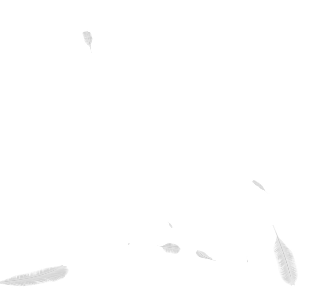 【映像素材】羽ループ背景
