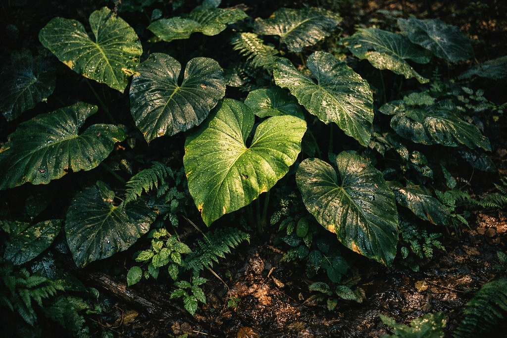 深林の自然背景イラスト素材集 Vol.1|1536×1024|Web・TRPG・動画向け(5枚)