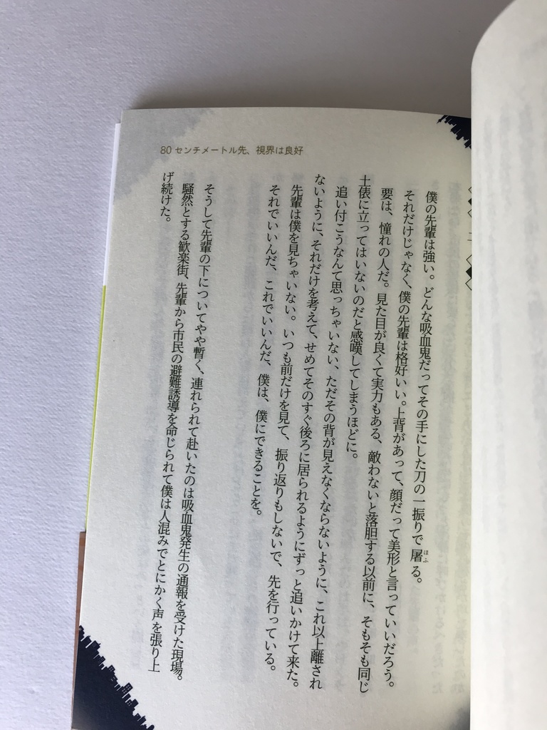 80センチメートル先、視界は良好【吸死・腐・半サギョ・小説】