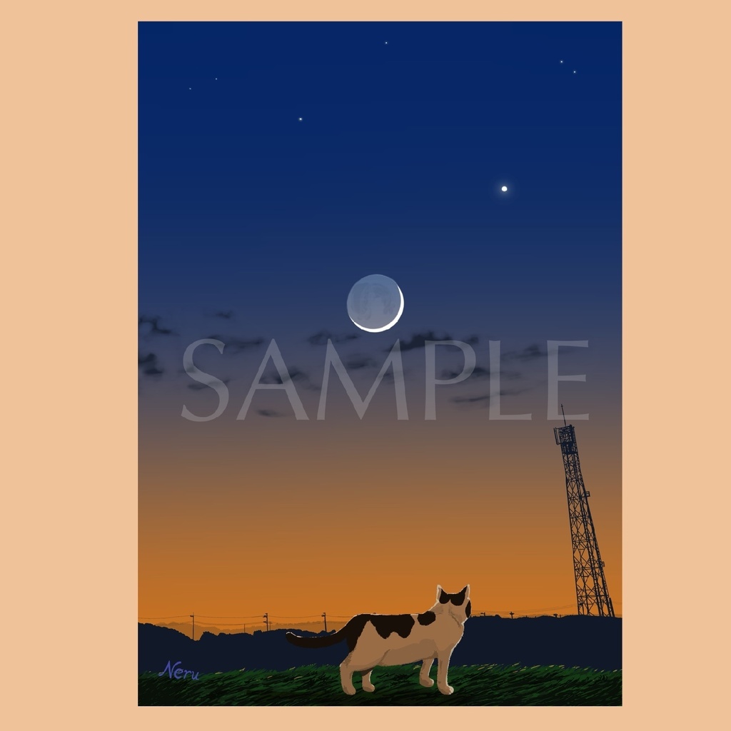 猫と地球照と電波塔