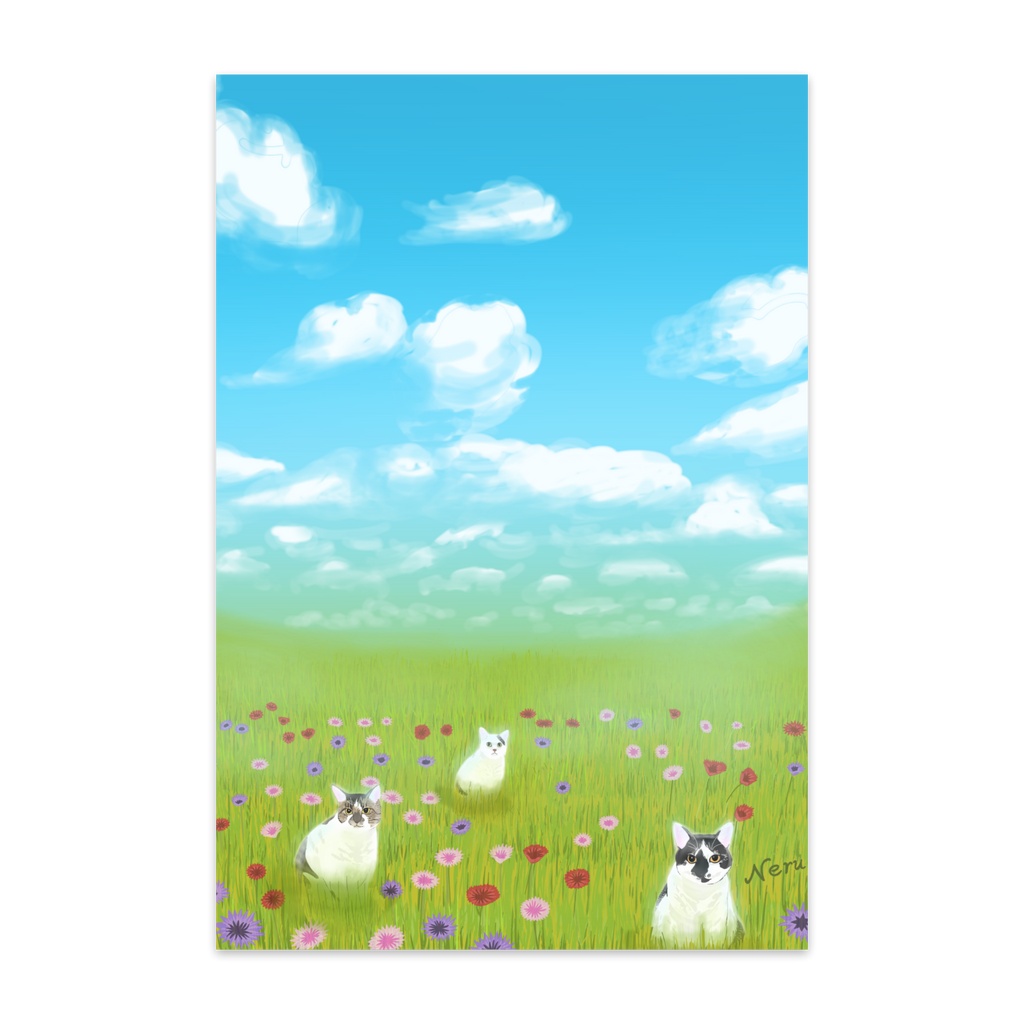 ポストカード『矢車菊畑に猫3匹』