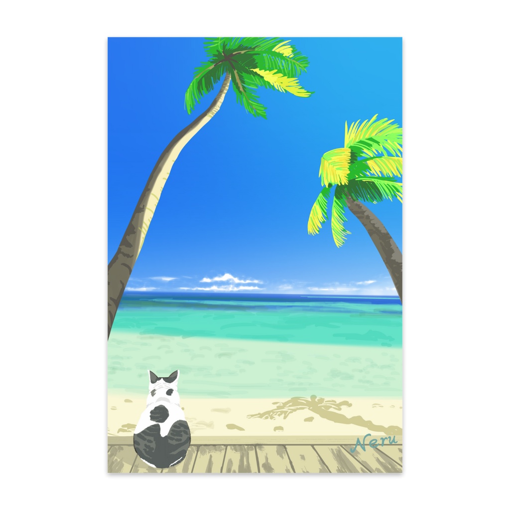 ポストカード『南の島で暮らす猫』