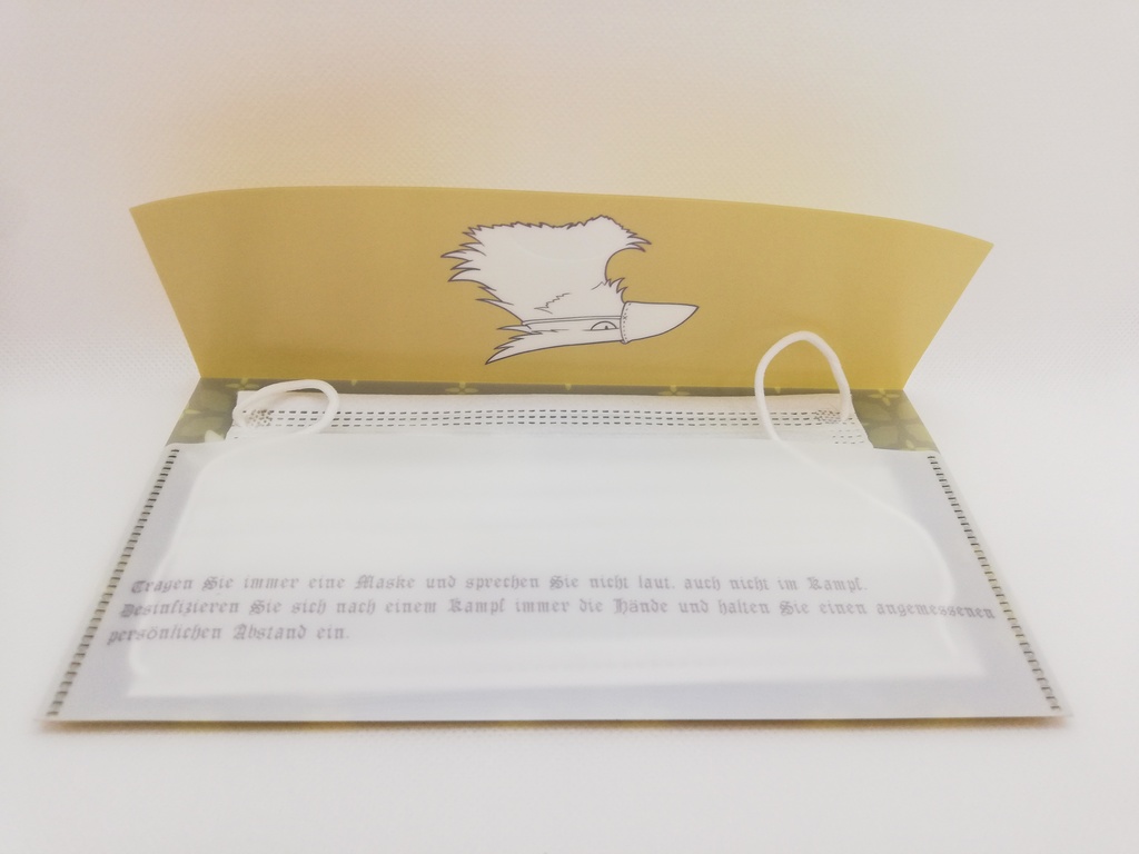 セイロス騎士団仕様(非公式)マスクケース