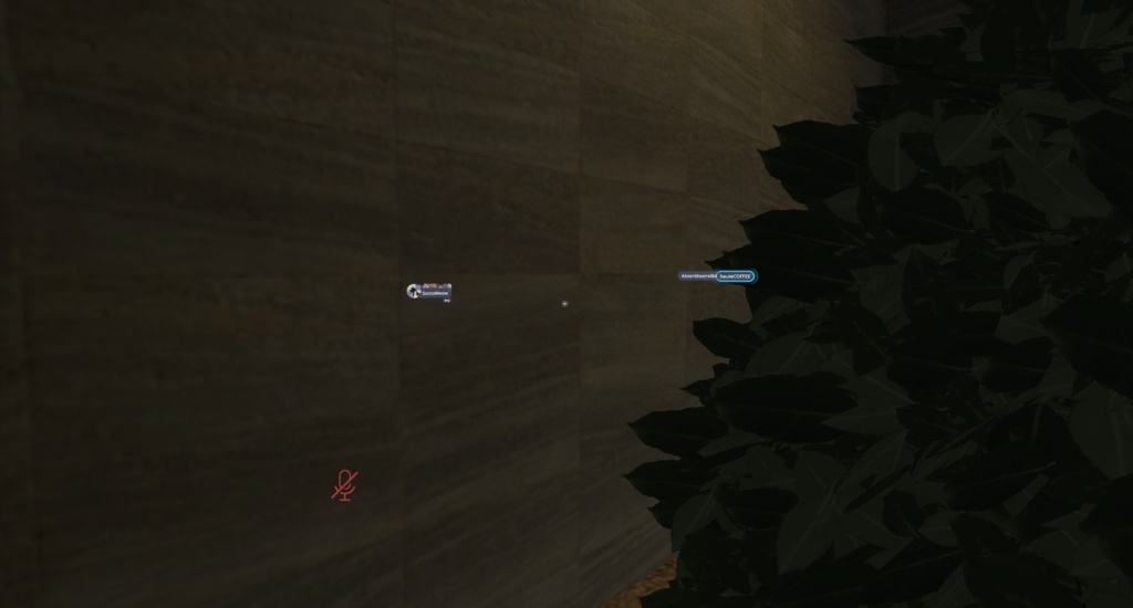 【MA対応】プレイヤー名透視