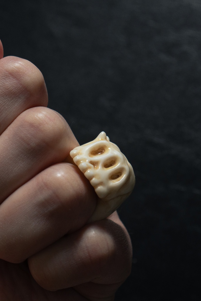 THE ODD RING ~SKULL TOKEN~