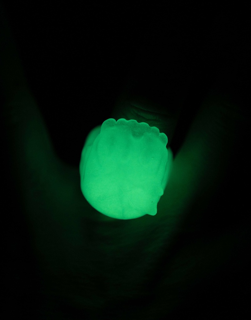 THE ODD RING ~SKULL TOKEN~