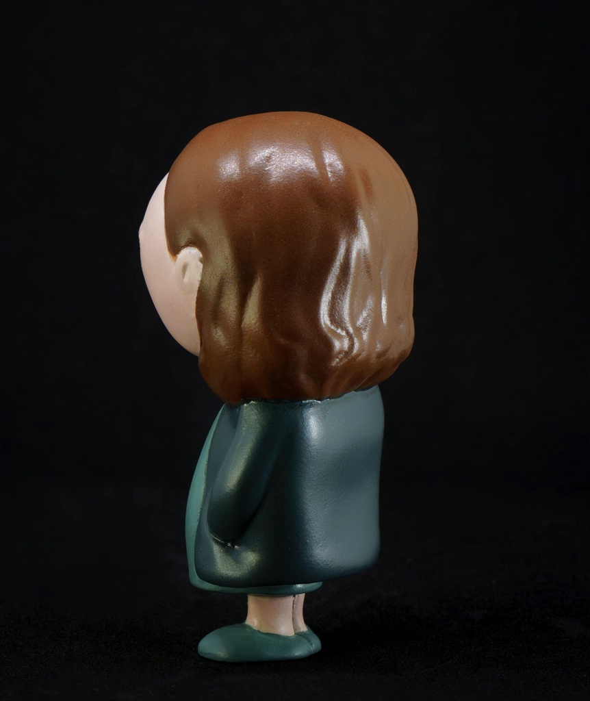 【Figure】the FAMILY