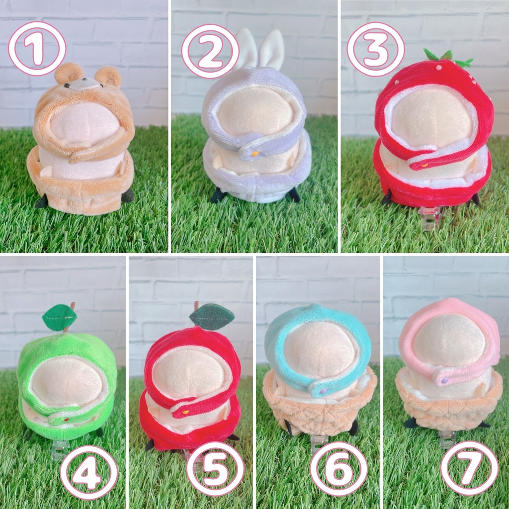 もちもちセットアップ