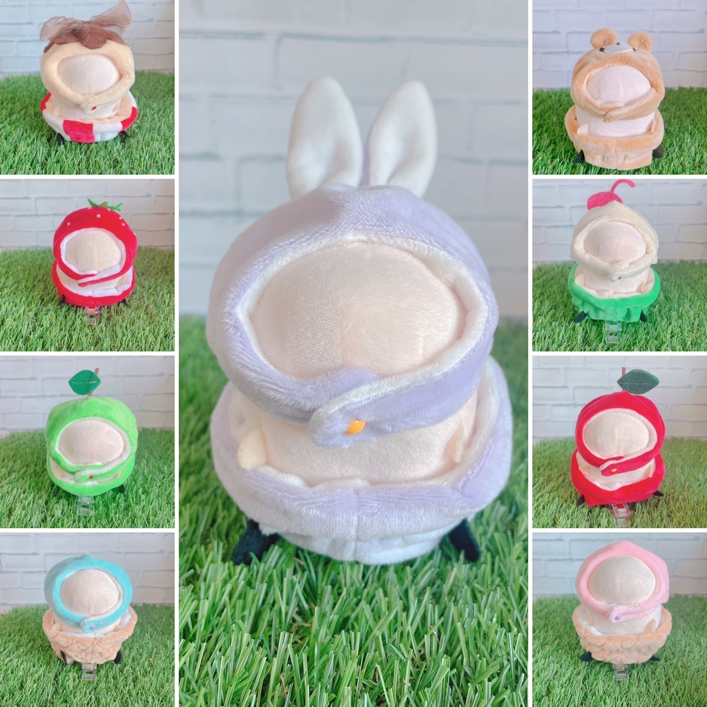 もちもちセットアップ