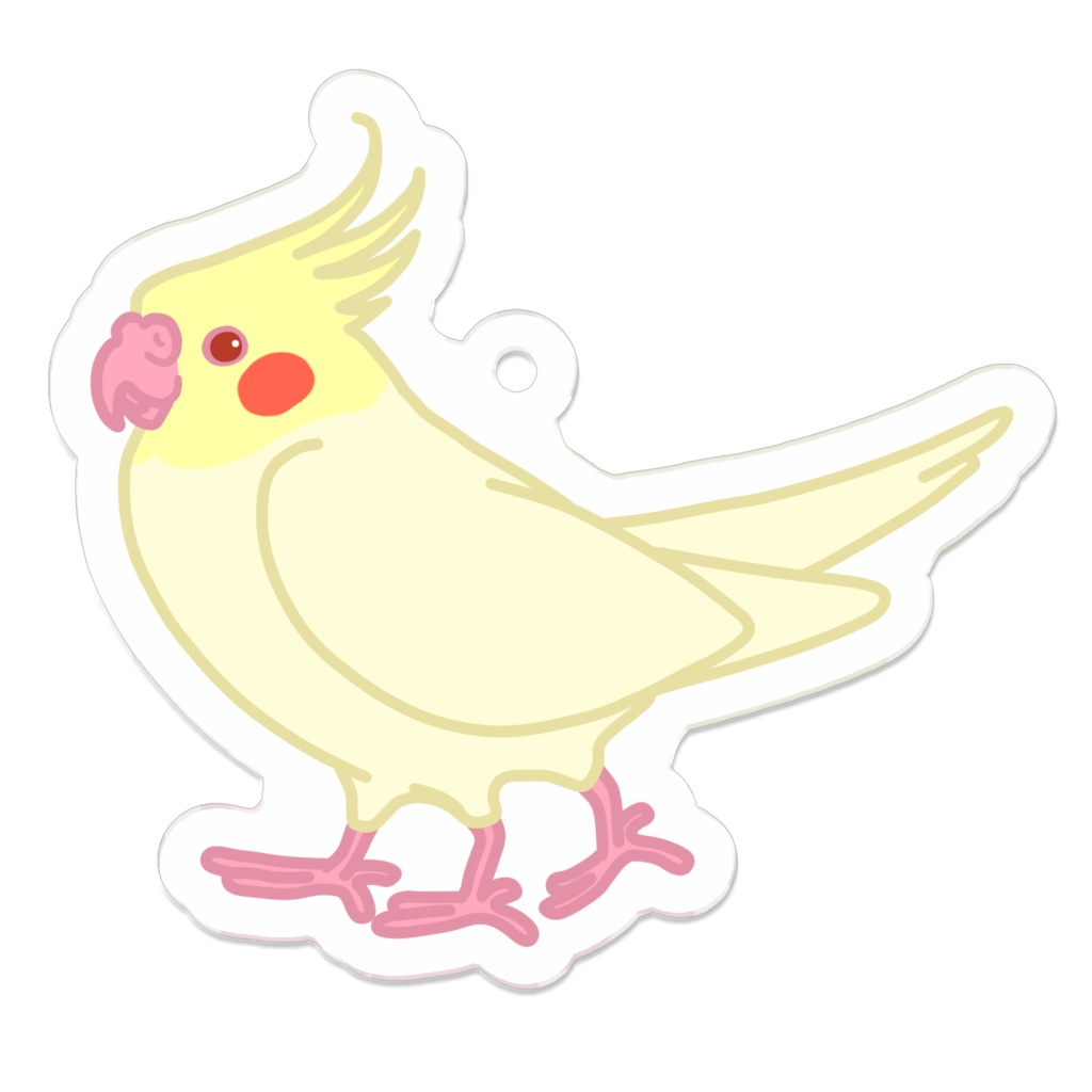 ヤタオカメインコ