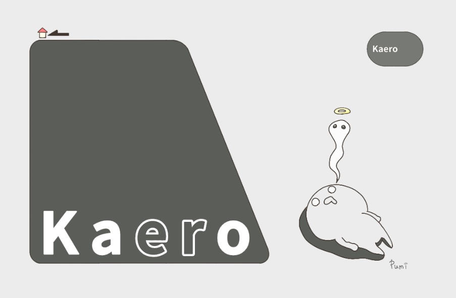 Kaero パスケース