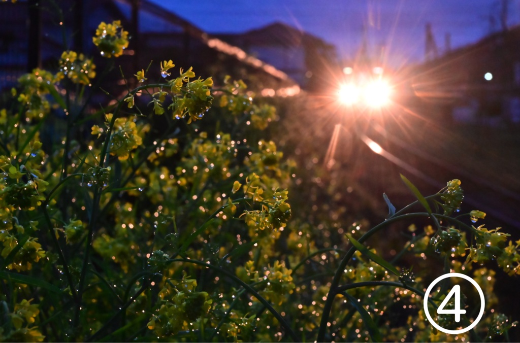 兵庫のローカル線_オーダーメイド額装写真(2L)