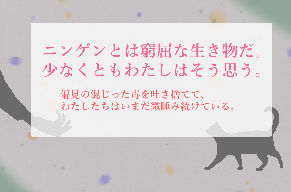ねこと、ニンゲンと、ときどき怠惰。