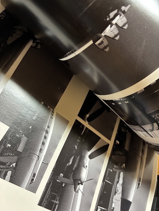 元祖夢の国 谷津遊園 東洋一の大遊園地 思い出の写真展図録2【2026年3月】