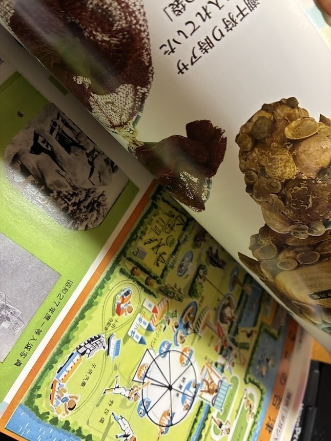 元祖夢の国 谷津遊園 東洋一の大遊園地 思い出の写真展図録2【2026年3月】