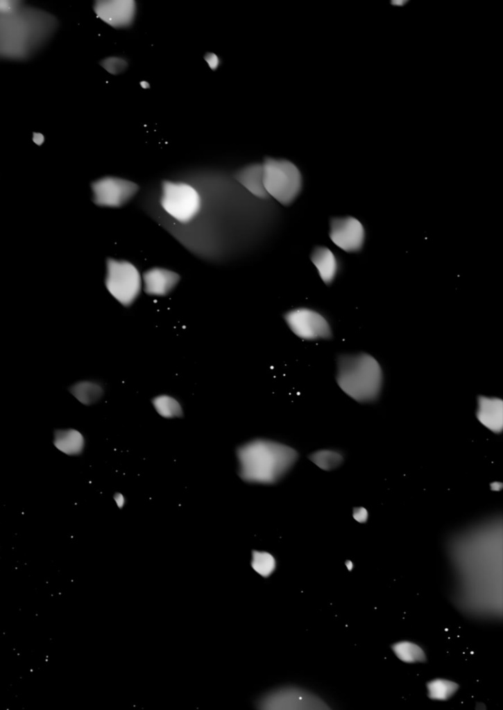 ゆめ、まぼろし