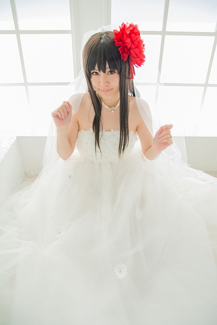 赤城これくしょん