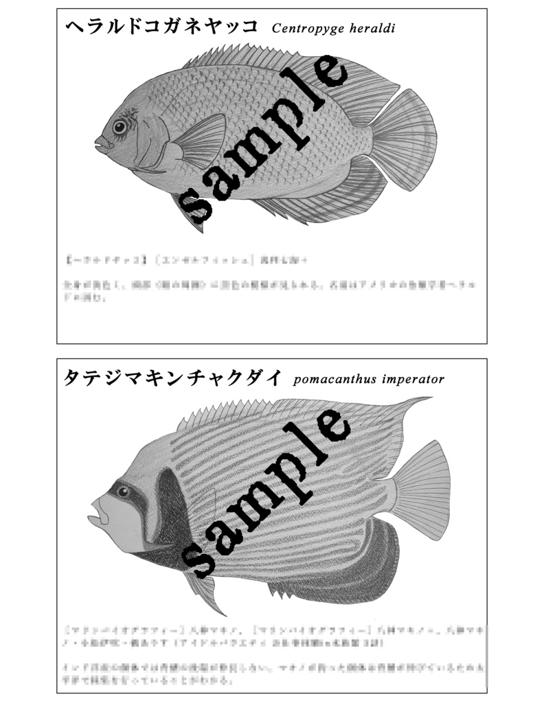 灰被魚譜 Illustrated Fishes of Cinderella Girls