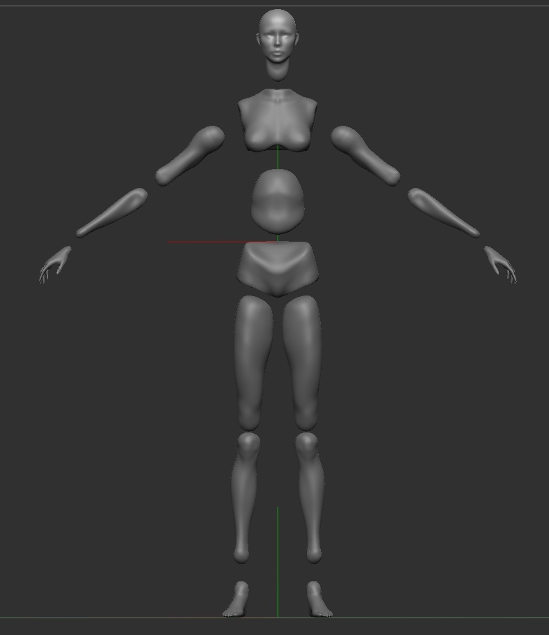 女性 素体 分割 3Dデータ ZbrushCore用 ZPRファイル