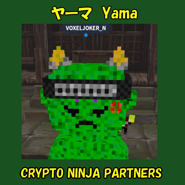 ボクセルアバター(CNP ヤーマ)