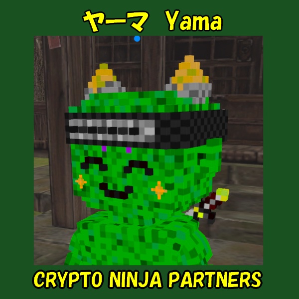 ボクセルアバター(CNP ヤーマ)