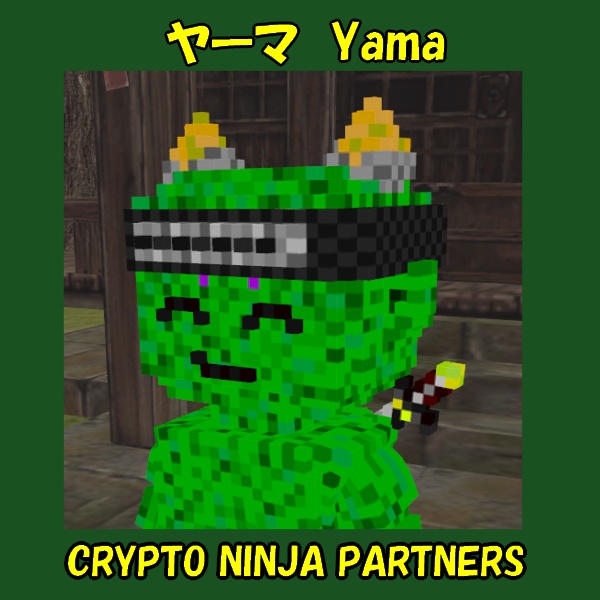 ボクセルアバター(CNP ヤーマ)