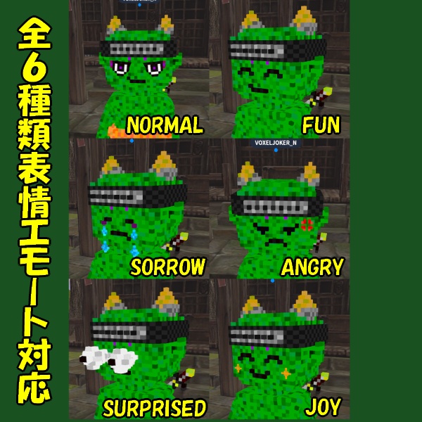 ボクセルアバター(CNP ヤーマ)