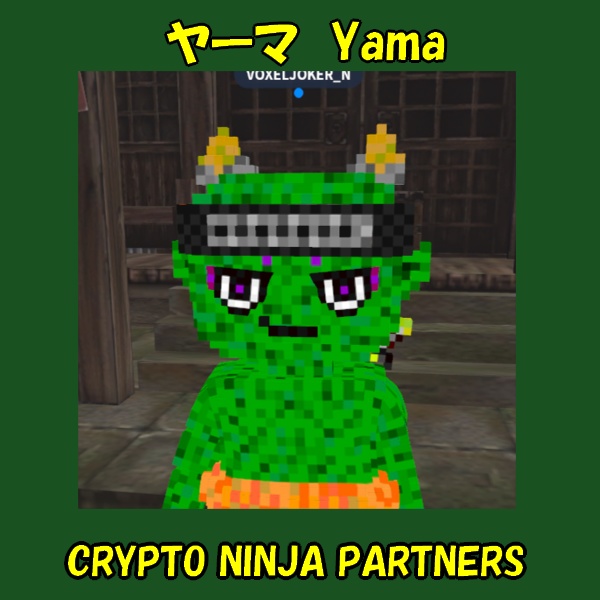 ボクセルアバター(CNP ヤーマ)