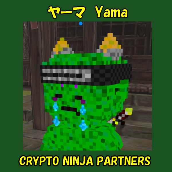 ボクセルアバター(CNP ヤーマ)