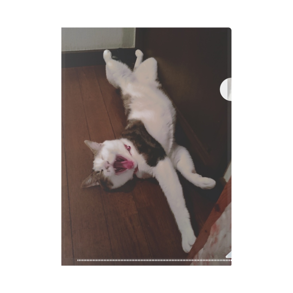 うちのアニマルいかが?