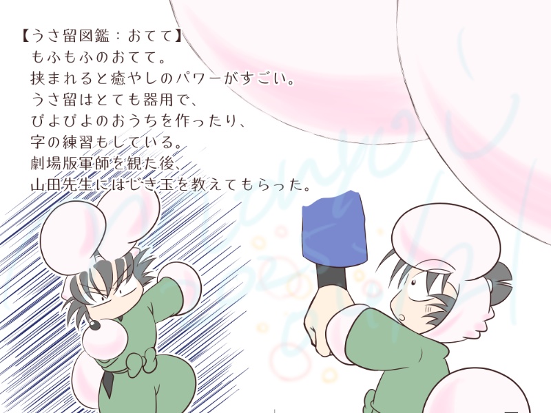 『うさ留図鑑』