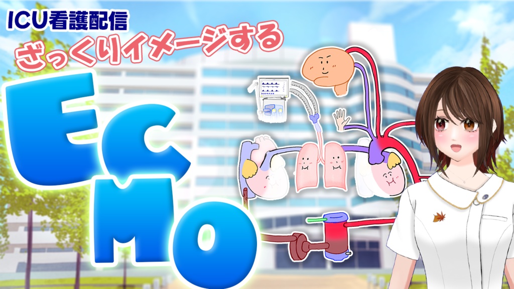 VA-ECMO装着中の患者の全体像をとらえる【PDF資料】