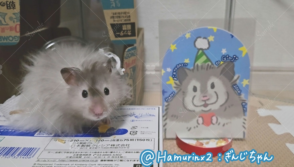 あにば〜さり〜カード