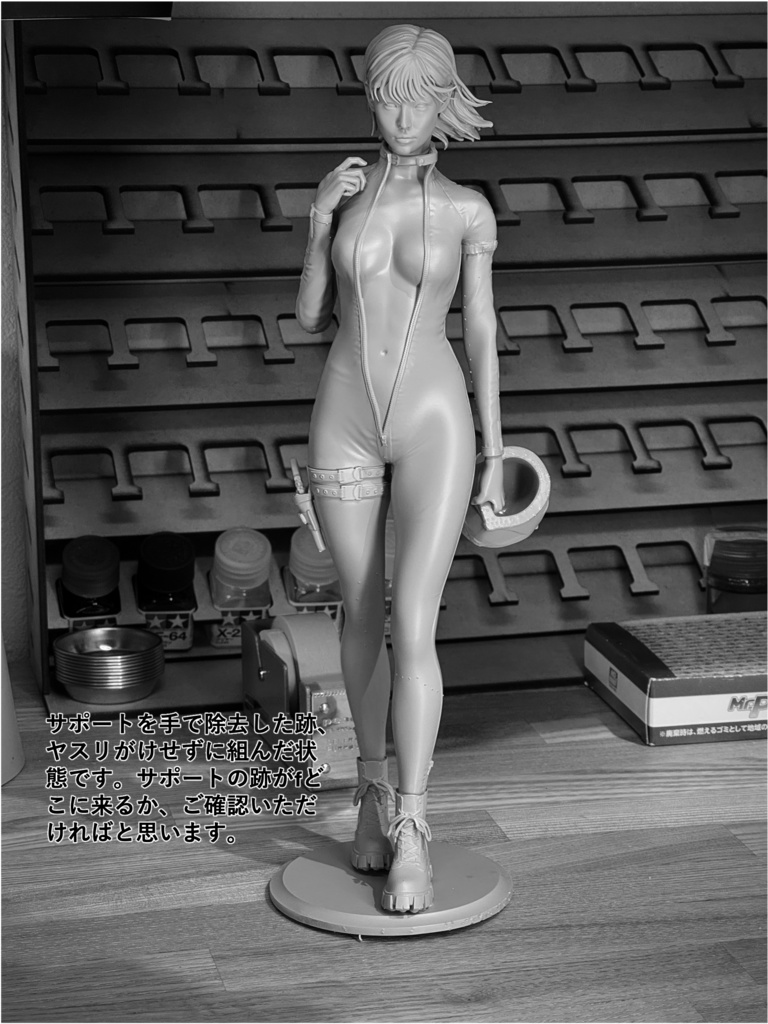 オリジナルガレージキット バイク乗りの女 1/6 もしくは 1/12スケール (A Female Rider)