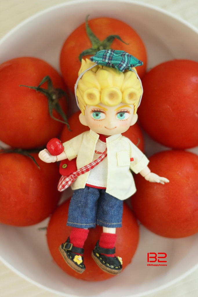 OB11 オビツ11 トマトセット