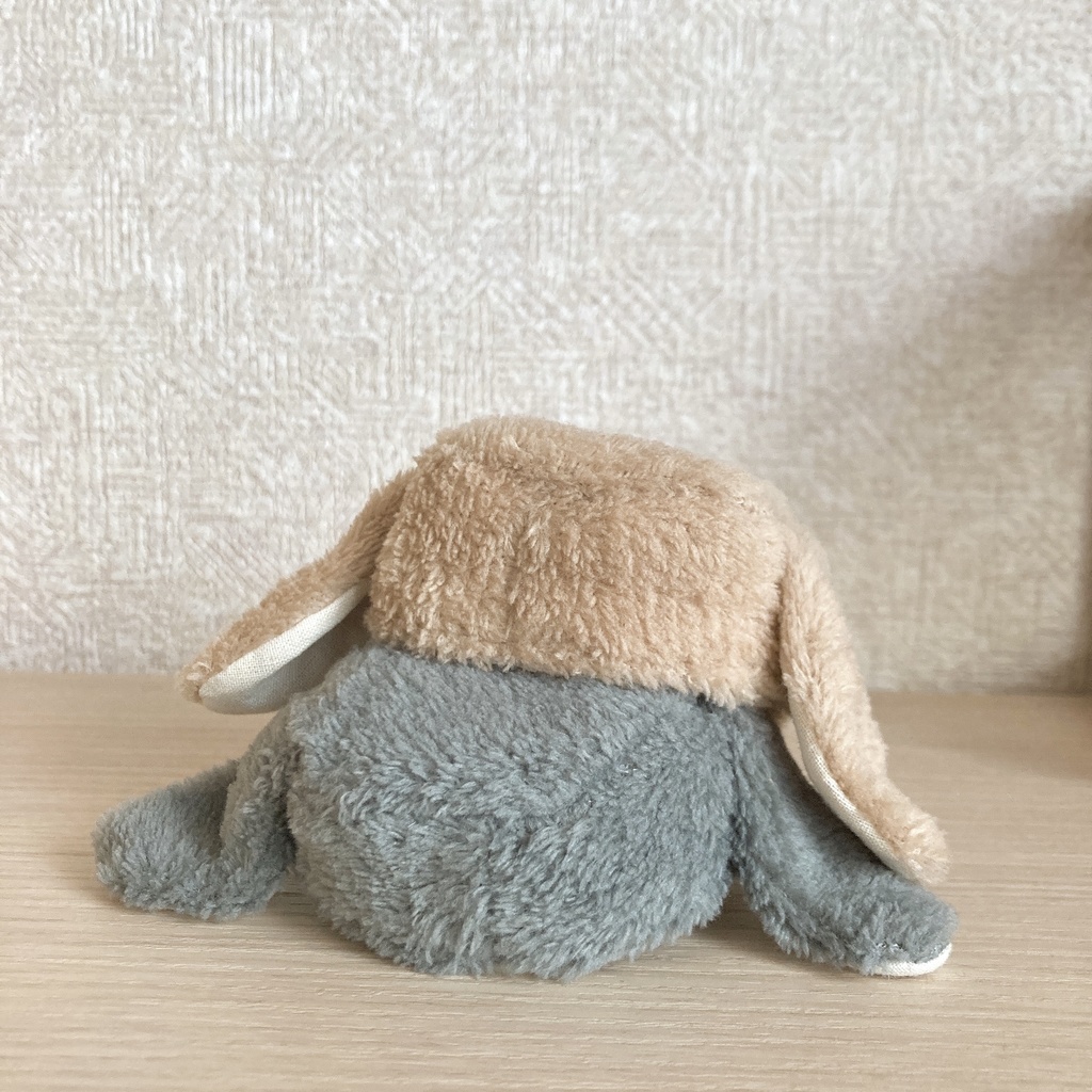 rabbit cap -lop-