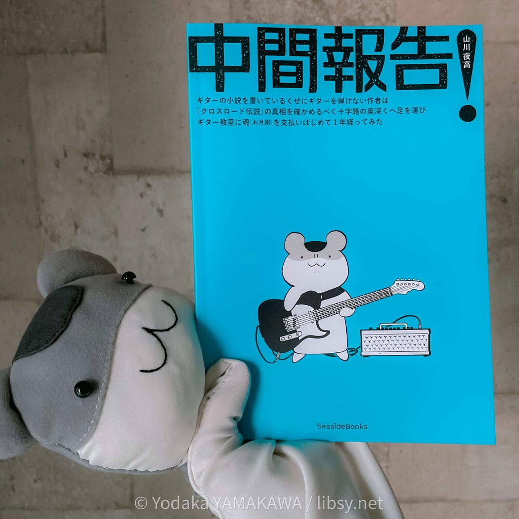 中間報告