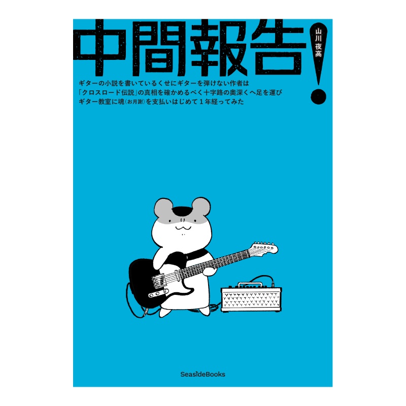 中間報告